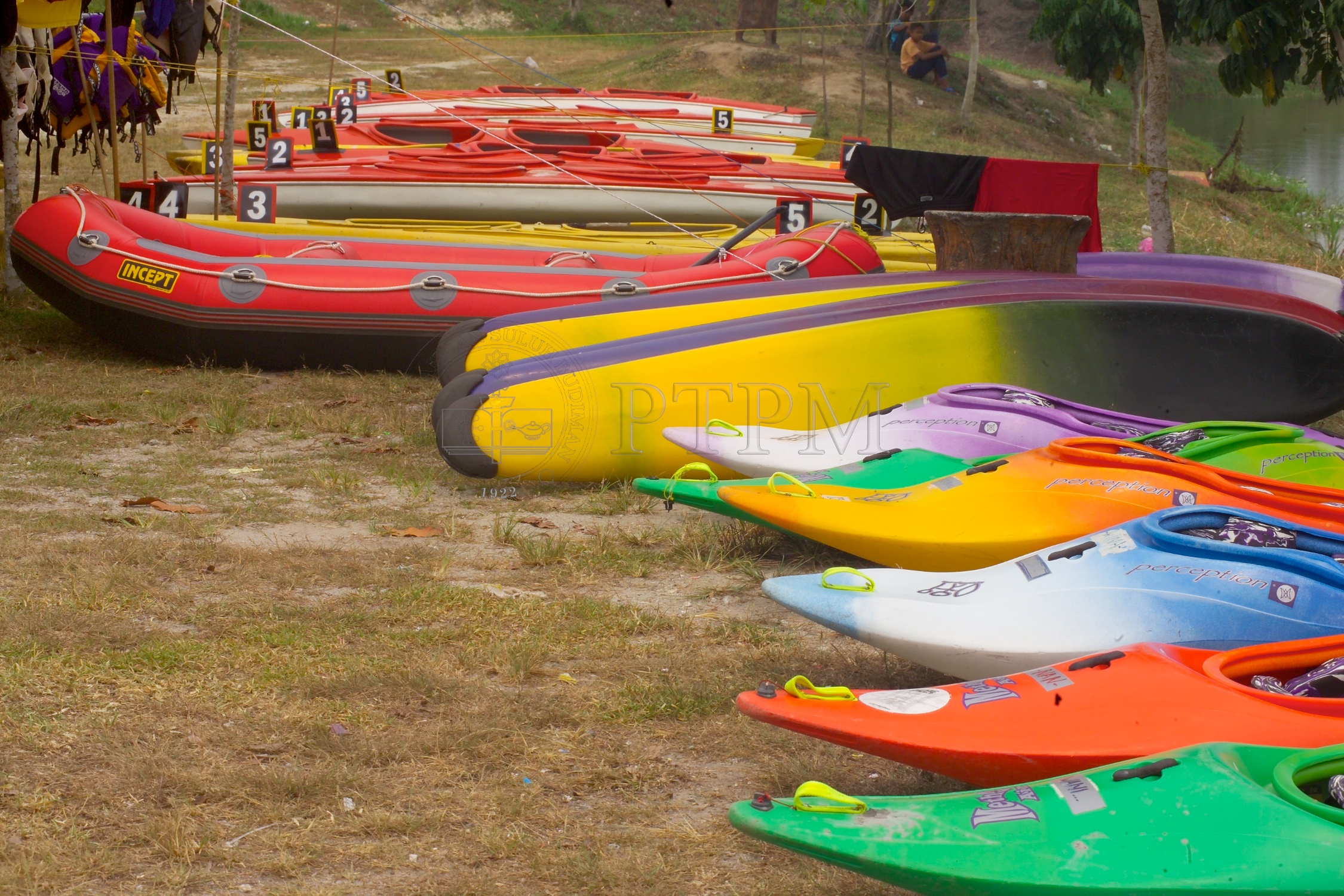 PTPM 05 13 kayak D8XZ8751